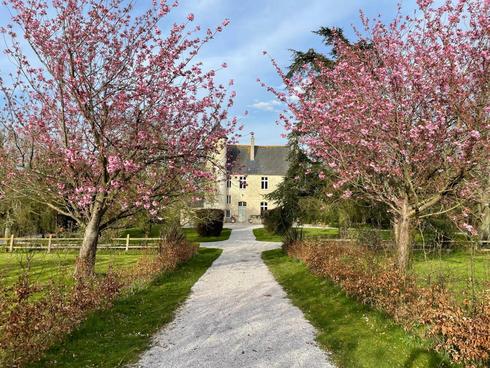 Chateau De Monfreville Bagian luar foto